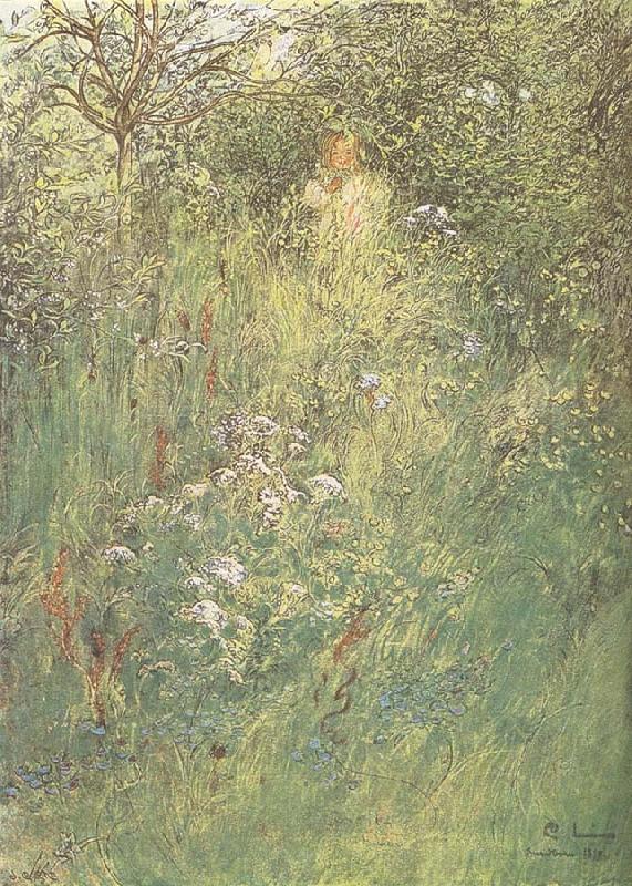 Carl Larsson in the Hawthorn Hedge oil painting picture